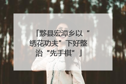 黟县宏潭乡以“绣花功夫”下好整治“先手棋”